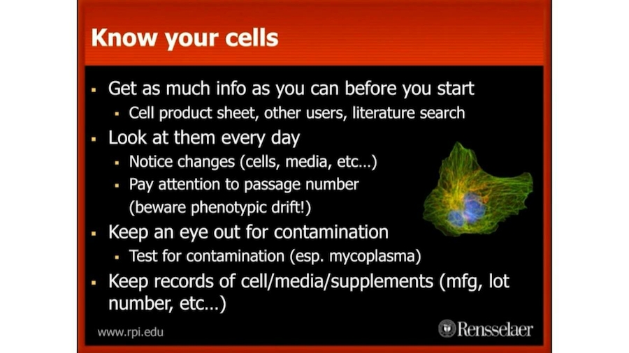 How to Set Up and Run a Successful Cell Culture Lab