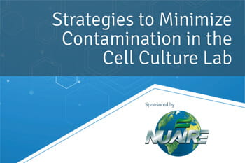 Strategies to Minimize Contamination in the Cell Culture Lab